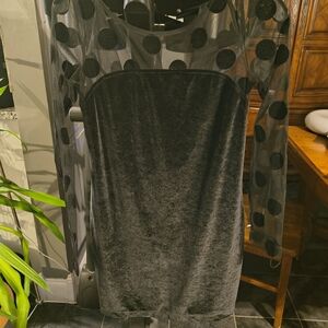 BCBGeneration Black Velvet Dress with Sheer Polka Dot Sleeves